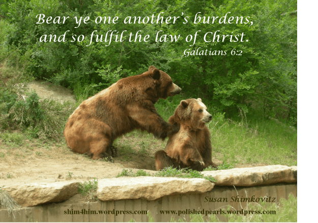 bear-burdens